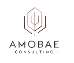 Logo Amobae - Cabinet spécialisé en optimisation des organisations et fonctions financières